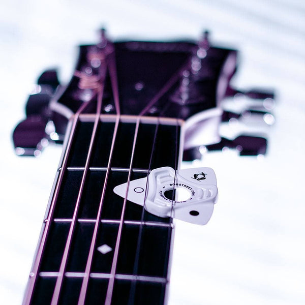 Bog Street Leap Series Mixed 6-Pack