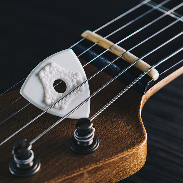 Bog Street Original Sampler Pack (17 Mixed Picks)